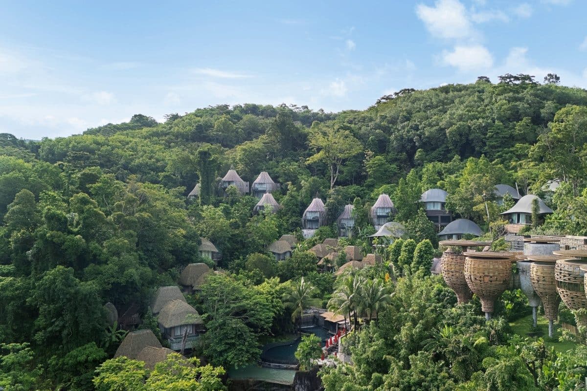 Tropical forest on the slope above Kamala and Keemala villas among trees: pointed house roofs, round thatched roofs and woven bird's nests on the right