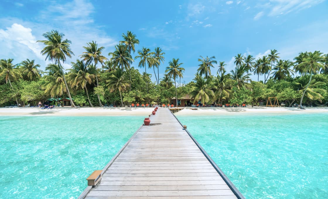 A wooden jetty in a turquoise lagoon beside a palm-lined Maldivian island.