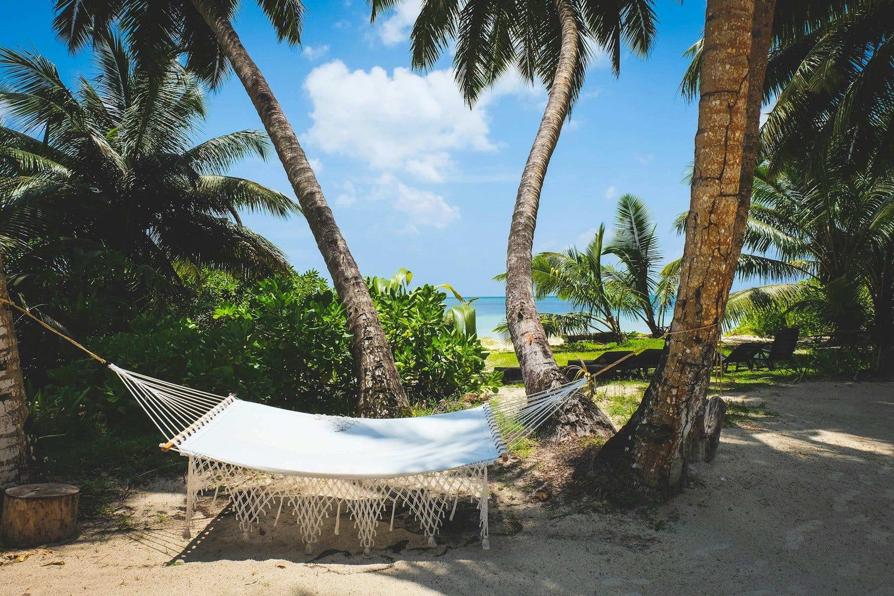A white fringed hammock between palms on the sand of Praslin, with sun loungers on the grass, greenery and a blue strip of sea behind